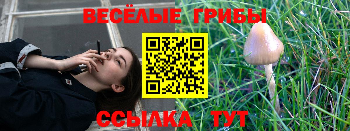 Лабинск  Псилоцибиновые грибы Psilocybe  Псилоцибиновые грибы MAGIC MUSHROOMS  Вход с VPN 